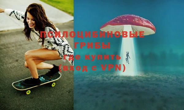 дурь Мегион