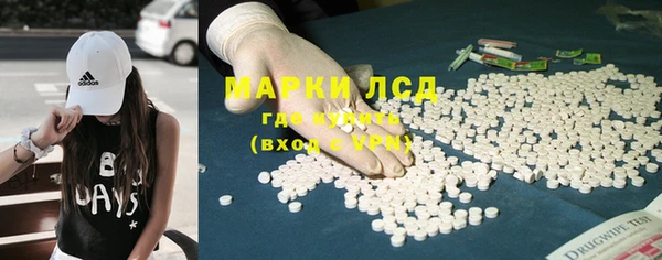 гидра Магас