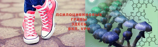 дурь Мегион