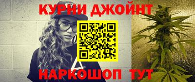 гидра Кинель